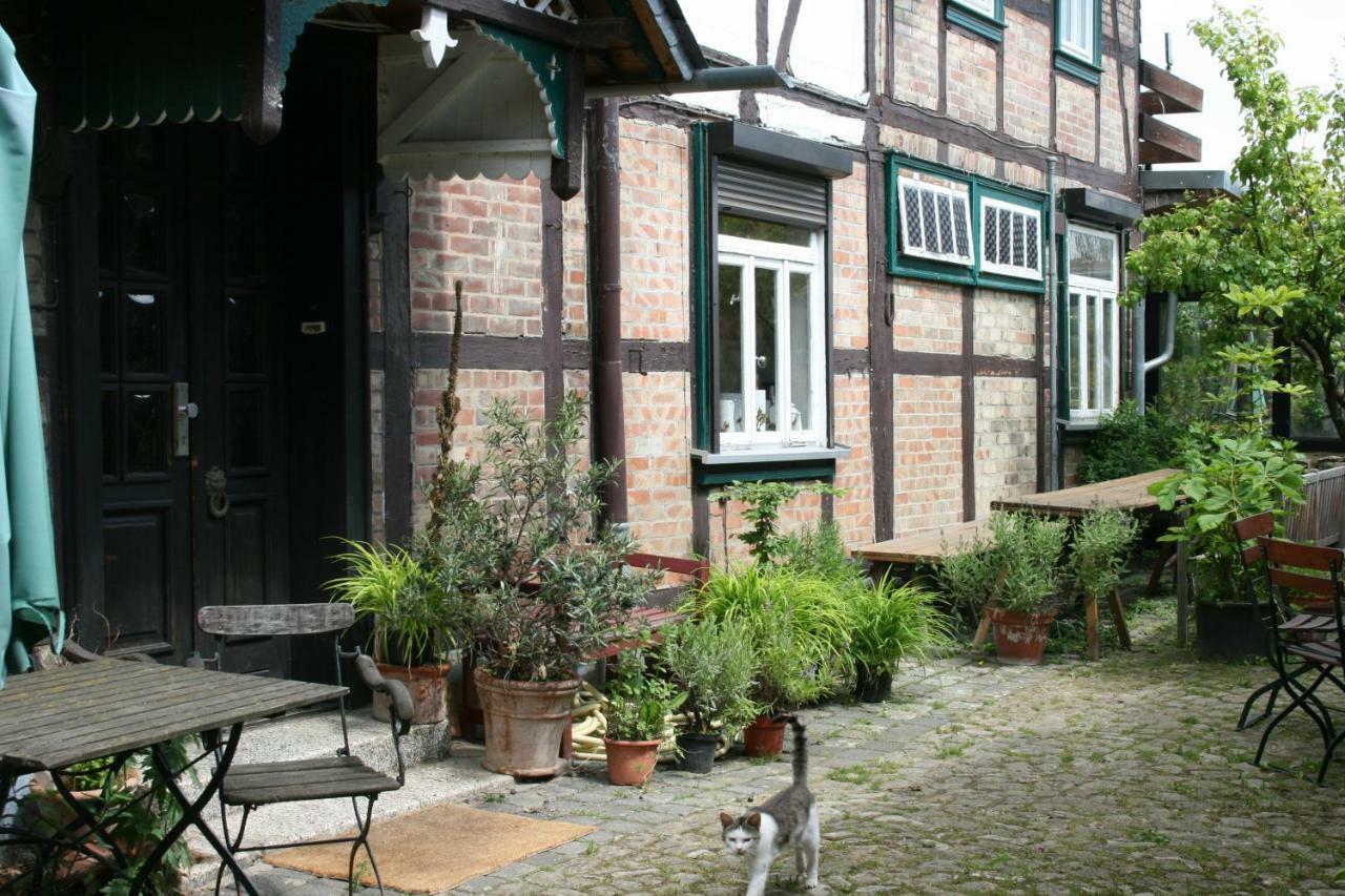 Apartments Cafe Brennnessel Veltheim المظهر الخارجي الصورة